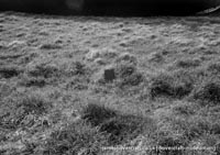 AP1-88 hovercraft during trial flights